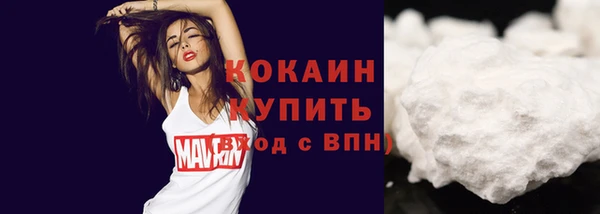 метадон Каменка