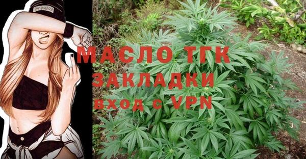 метадон Каменка
