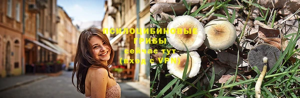 метадон Каменка